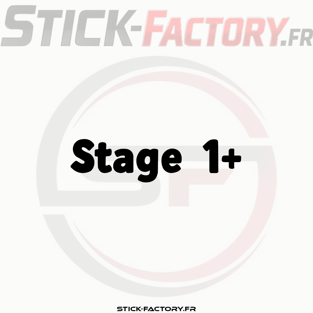 stage1
